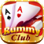 tiger rummy icon