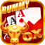 circle rummy download logo